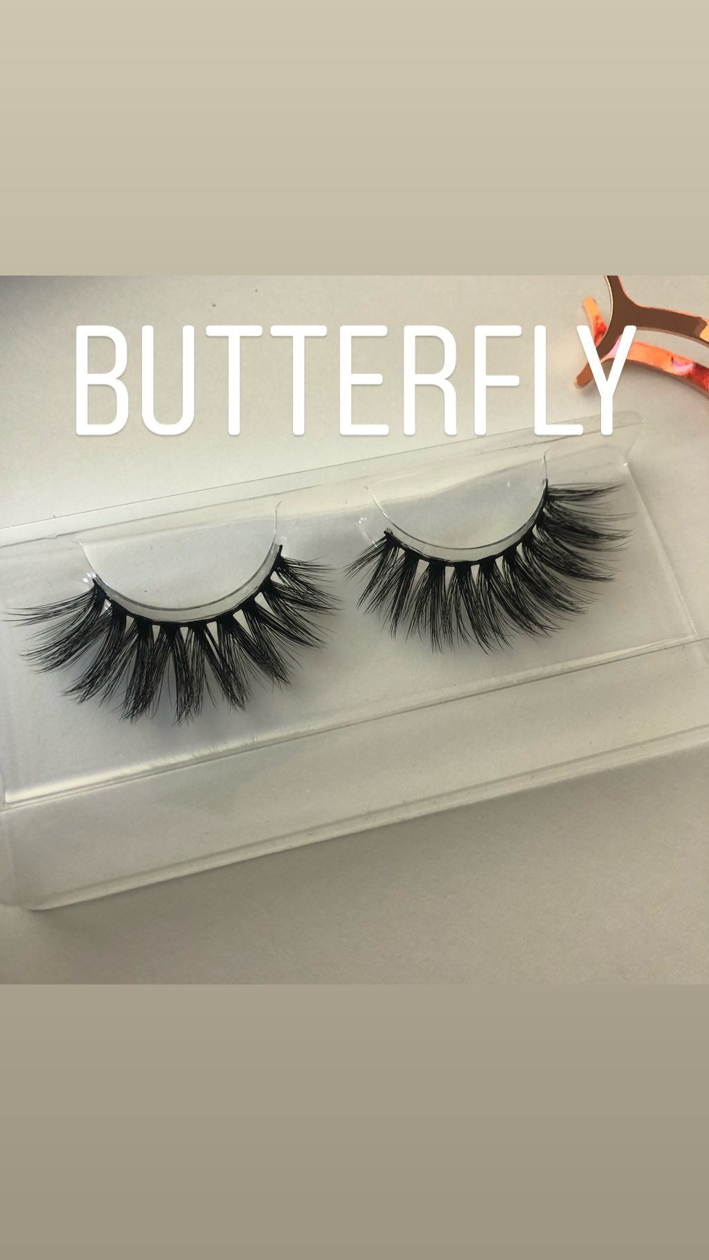 Butterfly